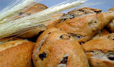 Rustic Bread